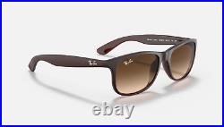 Lunettes Soleil ray ban RB 4202 6073/13 55 Medium Adapté Régulier Taille Brun