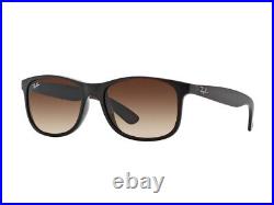 Lunettes de soleil Ray Ban RB4202 ANDY brun gradué 607313