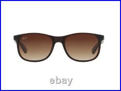 Lunettes de soleil Ray Ban RB4202 ANDY brun gradué 607313