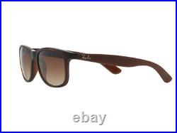 Lunettes de soleil Ray Ban RB4202 ANDY brun gradué 607313