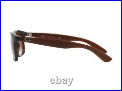 Lunettes de soleil Ray Ban RB4202 ANDY brun gradué 607313